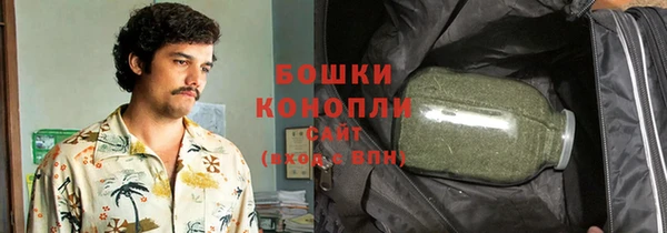 индика Белокуриха