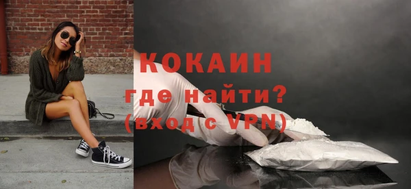 индика Белокуриха