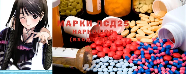 индика Белокуриха