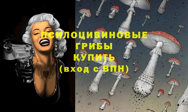 молекула духа Баксан