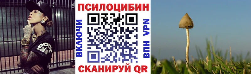 Галлюциногенные грибы Psilocybe Сегежа
